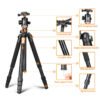 Tripod Kit with Monopod and Ball Head - Twist Lock & Flip Leg Lock Transverse Stand for DSLR Camera & Mobile Phone